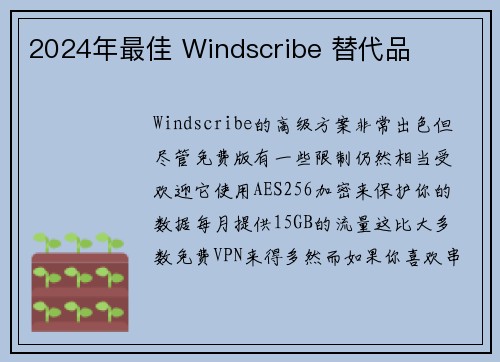 2024年最佳 Windscribe 替代品